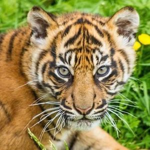 Meet your Posher, Sheri